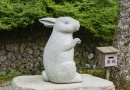 答えて当てよういいとこクイズ　2023年3月号