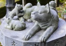 答えて当てよういいとこクイズ　2023年5月号