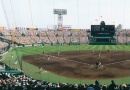 阪神タイガース甲子園球場グリーンシート（年間指定席）2026