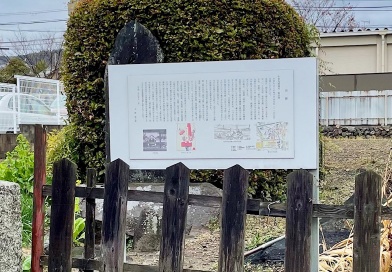 答えて当てよういいとこクイズ　2025年5月号