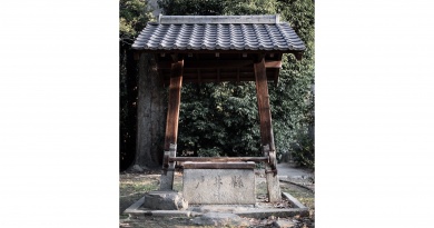 答えて当てよういいとこクイズ　2025年7月号