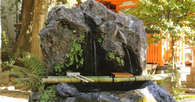 答えて当てよういいとこクイズ　2025年12月号