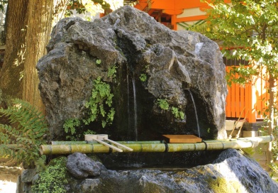 答えて当てよういいとこクイズ　2025年12月号