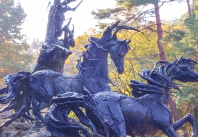 答えて当てよういいとこクイズ 2026年1月号 答えて当てよういいとこクイズ 2026年1月号