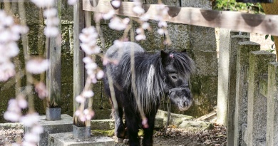 答えて当てよういいとこクイズ　2026年3月号