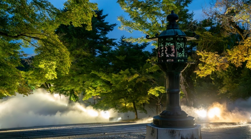 仁和寺青もみじライトアップ 〜雲海と528Hz癒しのサウンドガーデン〜 仁和寺青もみじライトアップ 〜雲海と528Hz癒しのサウンドガーデン〜