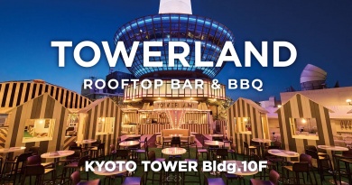 TOWERLAND TOWERLAND