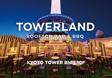 TOWERLAND TOWERLAND