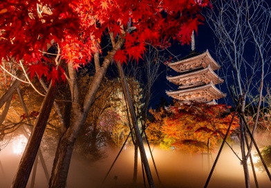 仁和寺 紅葉雲海ライトアップ 528Hz癒しのサウンドガーデン 仁和寺 紅葉雲海ライトアップ 528Hz癒しのサウンドガーデン