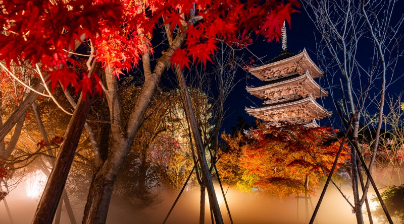 仁和寺 紅葉雲海ライトアップ 528Hz癒しのサウンドガーデン 仁和寺 紅葉雲海ライトアップ 528Hz癒しのサウンドガーデン